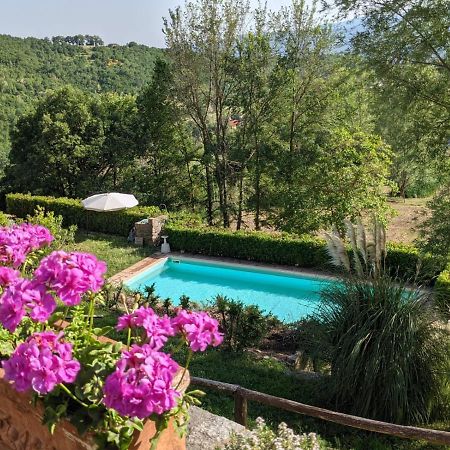 Agriturismo Casentino - Fattoria Ventrina Martina Exteriör bild