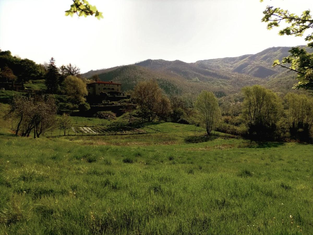 Agriturismo Casentino - Fattoria Ventrina Martina Exteriör bild