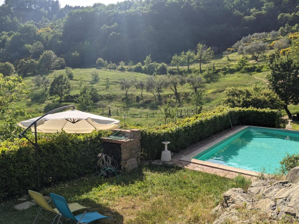 Agriturismo Casentino - Fattoria Ventrina Martina Exteriör bild