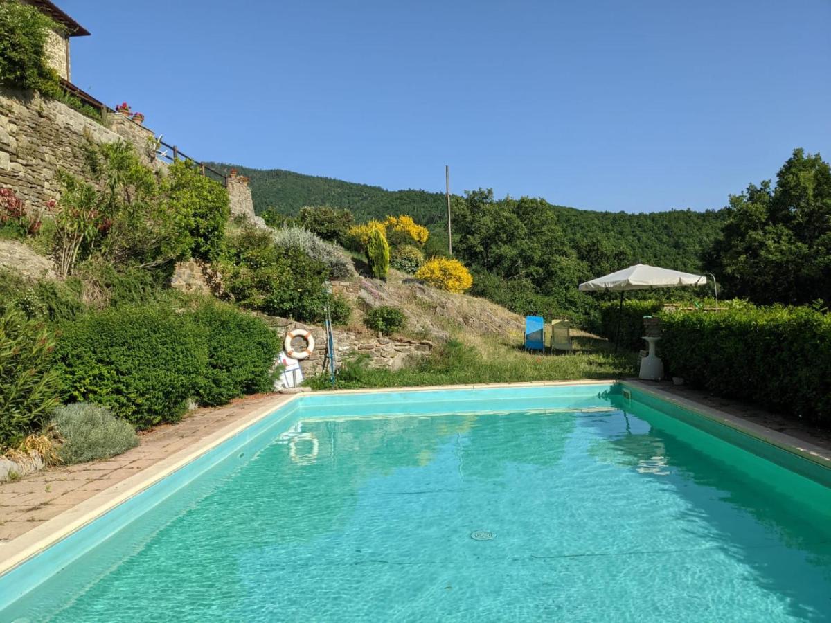 Agriturismo Casentino - Fattoria Ventrina Martina Exteriör bild